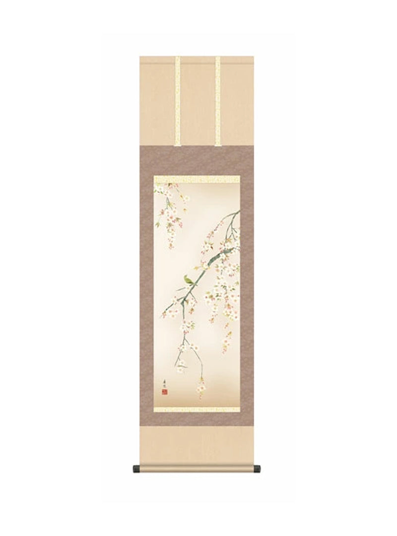西尾香悦(三美会) 桜花 尺三