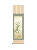 吉井蘭月(曉山会) 菊花 尺三
