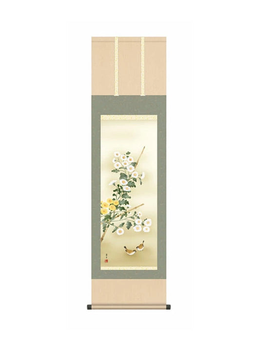 吉井蘭月(曉山会) 菊花 尺三
