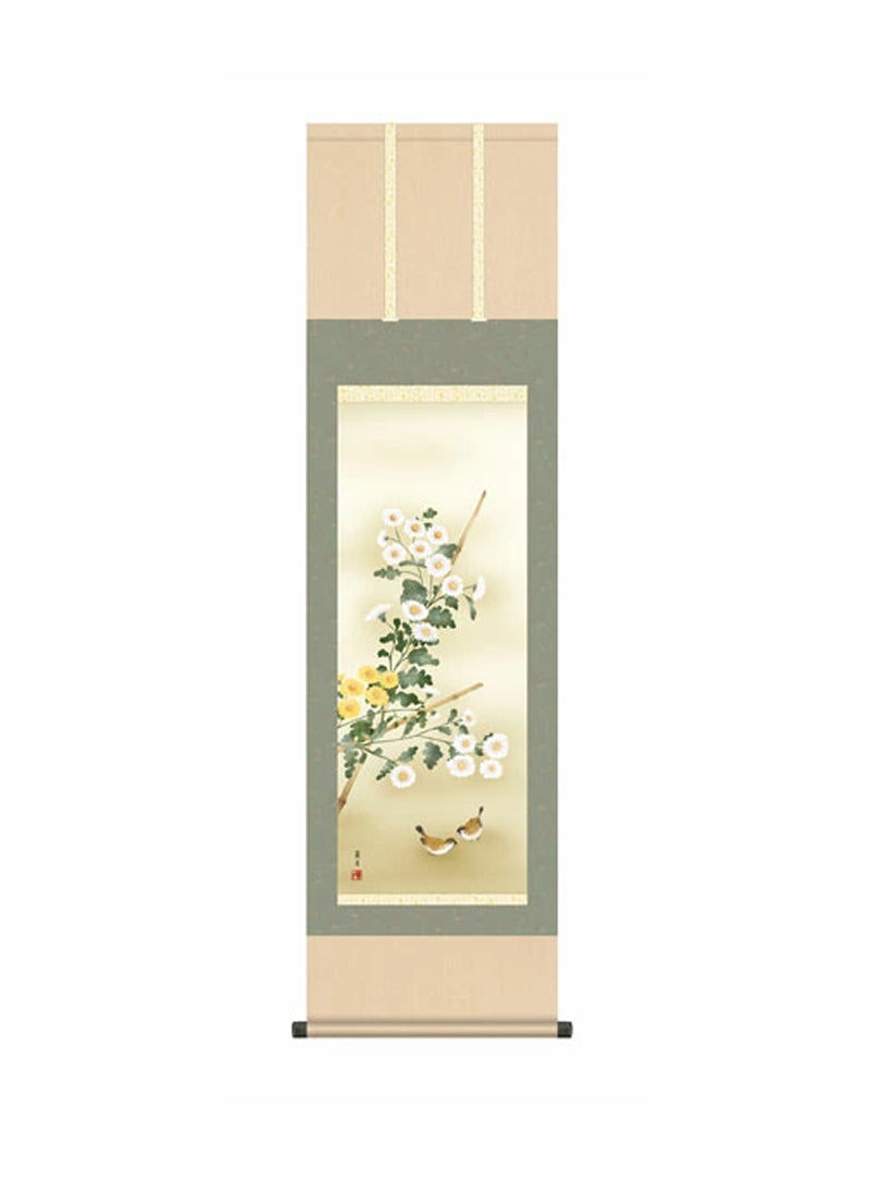 吉井蘭月(曉山会) 菊花 尺三