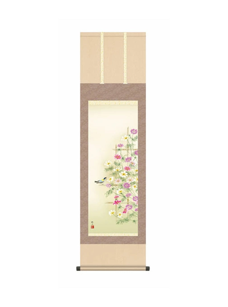浮田秋水(草夕会) 秋桜 尺三