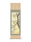 長江桂舟 桜 尺五
