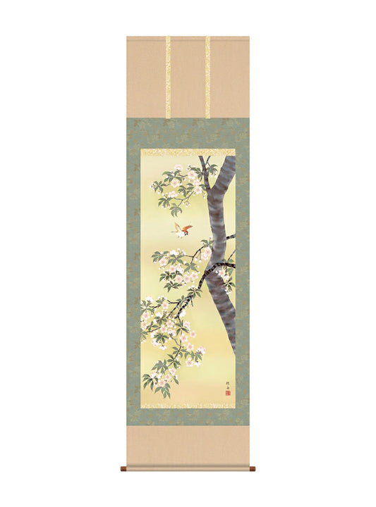 長江桂舟 桜 尺五